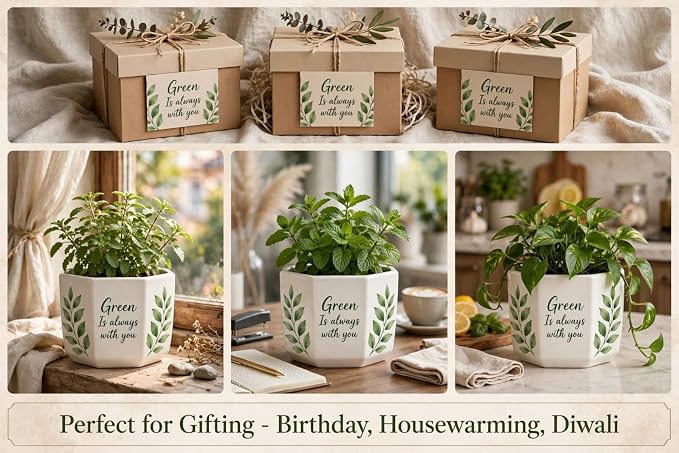 Ceramic Planter Pot for Indoor Plants 5 Inch Decorative Ceramic Plant Pot with Drainage Hole & Tray