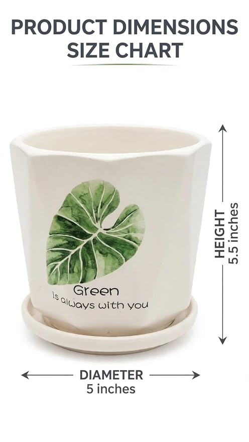 Ceramic Planter Pot for Indoor Plants 5 Inch Decorative Ceramic Plant Pot with Drainage Hole & Tray
